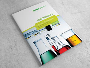 巧妙利用鮮亮顏色與斜角色塊營造視覺層次的化學(xué)工廠宣傳手冊(cè)設(shè)計(jì)